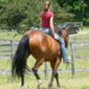 amiefoster654